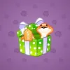 Snake Box #7294