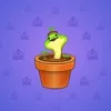 Snake Box #7568