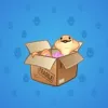 Snake Box #7917