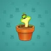Snake Box #8151