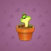 Snake Box #8494