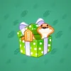 Snake Box #8504
