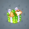 Snake Box #9292