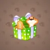 Snake Box #9556