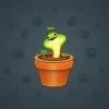 Snake Box #9878