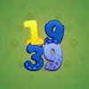Big Year #17334