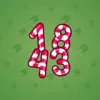 Big Year #17452