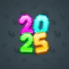 Big Year #28294