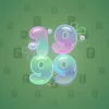 Big Year #4666