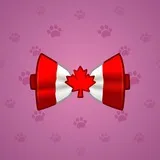 Bow Tie #1674