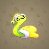 Pet Snake #1569 Pet Snake #1569