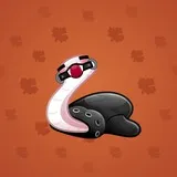 Pet Snake #2049 Pet Snake #2049