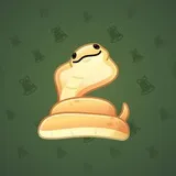 Pet Snake #2144 Pet Snake #2144