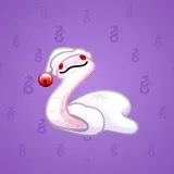 Pet Snake #2277 Pet Snake #2277