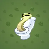 Pet Snake #2336 Pet Snake #2336