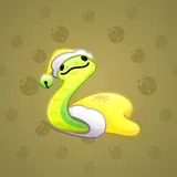 Pet Snake #2348 Pet Snake #2348