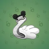 Pet Snake #3263 Pet Snake #3263
