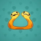Pet Snake #4254 Pet Snake #4254