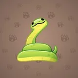 Pet Snake #4445 Pet Snake #4445