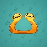 Pet Snake #7553 Pet Snake #7553