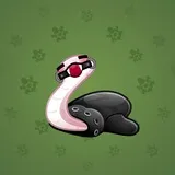 Pet Snake #8107 Pet Snake #8107