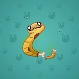 Pet Snake #8271 Pet Snake #8271