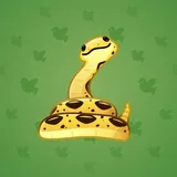 Pet Snake #9372 Pet Snake #9372