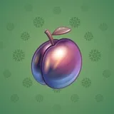 Precious Peach #1090 Precious Peach #1090