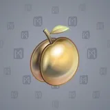 Precious Peach #1122 Precious Peach #1122