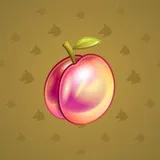 Precious Peach #1134 Precious Peach #1134