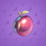 Precious Peach #1139 Precious Peach #1139