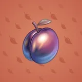 Precious Peach #1149 Precious Peach #1149