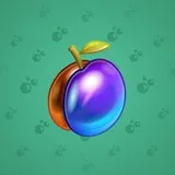 Precious Peach #1173 Precious Peach #1173