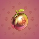 Precious Peach #1181 Precious Peach #1181