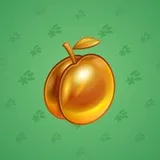 Precious Peach #1241 Precious Peach #1241