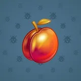 Precious Peach #1247 Precious Peach #1247