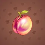 Precious Peach #1383 Precious Peach #1383