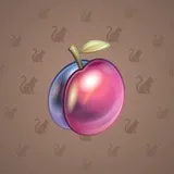 Precious Peach #1411 Precious Peach #1411
