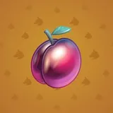 Precious Peach #1447 Precious Peach #1447