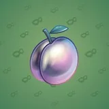 Precious Peach #1452 Precious Peach #1452