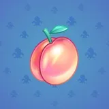 Precious Peach #146 Precious Peach #146