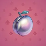 Precious Peach #1479 Precious Peach #1479