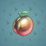 Precious Peach #1491 Precious Peach #1491