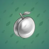Precious Peach #1516 Precious Peach #1516