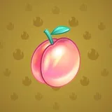 Precious Peach #1523
