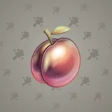 Precious Peach #1533 Precious Peach #1533