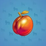 Precious Peach #1536 Precious Peach #1536