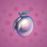 Precious Peach #1565 Precious Peach #1565