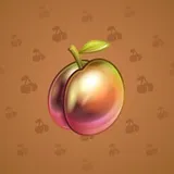 Precious Peach #158 Precious Peach #158