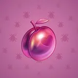 Precious Peach #1634 Precious Peach #1634